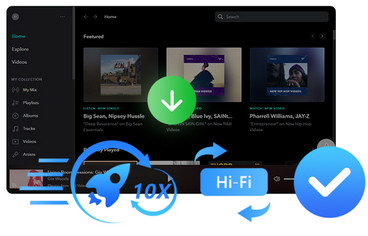 Tidal Media Downloader